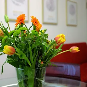  Apartamento Filarmonico12 Italia